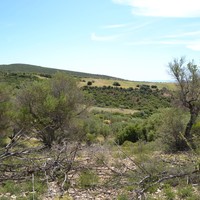 Земельный участок в Греции