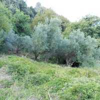Land plot in Greece
