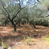 Land plot in Greece