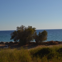 Земельный участок в Греции, 2642 кв.м.