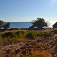 Земельный участок в Греции, 2642 кв.м.