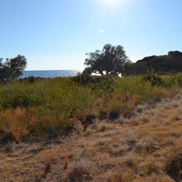 Земельный участок в Греции, 2642 кв.м.