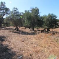Land plot in Greece