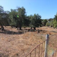 Land plot in Greece
