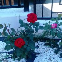 Villa in Greece, 326 sq.m.