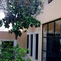 Villa in Greece, 320 sq.m.