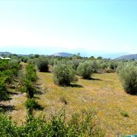 Flat in Greece, 65 sq.m.