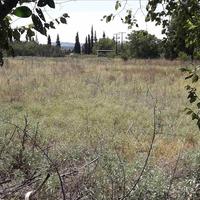Land plot in Greece