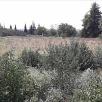 Land plot in Greece