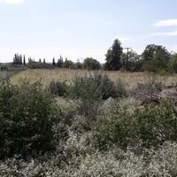Land plot in Greece