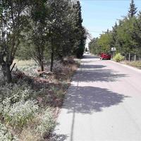 Land plot in Greece