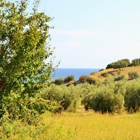 Land plot in Greece