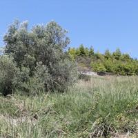 Land plot in Greece