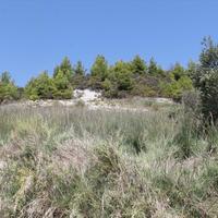 Land plot in Greece