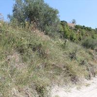 Land plot in Greece
