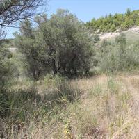 Земельный участок в Греции