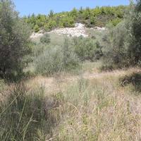 Земельный участок в Греции