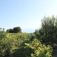 Other in Greece, 160 sq.m.