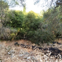 Land plot in Greece, 6500 sq.m.