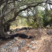 Land plot in Greece, 6500 sq.m.