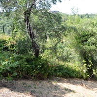 Land plot in Greece, 2447 sq.m.