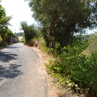 Land plot in Greece, 2447 sq.m.