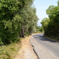 Land plot in Greece, 2447 sq.m.