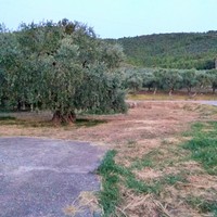 Business center in Greece, 300 sq.m.