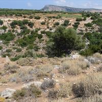 Земельный участок в Греции