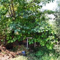 Земельный участок в Греции