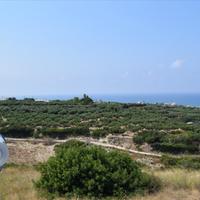 Business center in Greece, 448 sq.m.