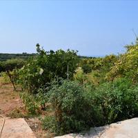 Business center in Greece, 448 sq.m.