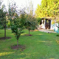 Вилла в Греции, 250 кв.м.