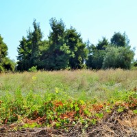Land plot in Greece