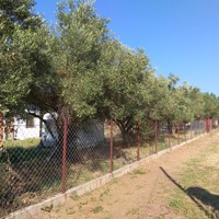 Land plot in Greece