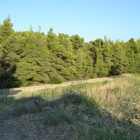 Land plot in Greece