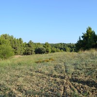 Land plot in Greece