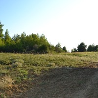 Land plot in Greece