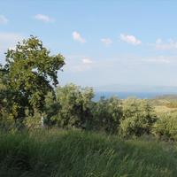 Land plot in Greece