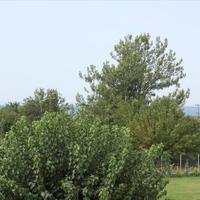 Flat in Greece, 55 sq.m.