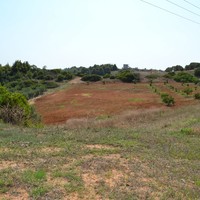 Land plot in Greece