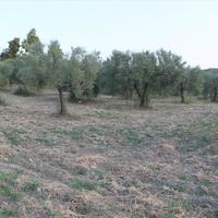 Земельный участок в Греции