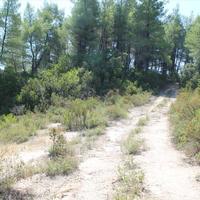 Land plot in Greece