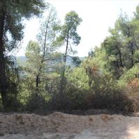 Land plot in Greece