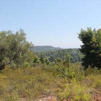 Land plot in Greece
