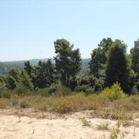 Land plot in Greece