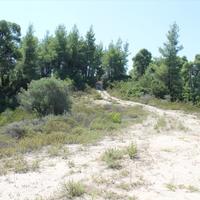 Land plot in Greece
