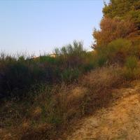 Land plot in Greece