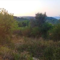 Land plot in Greece
