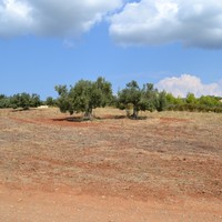 Land plot in Greece
